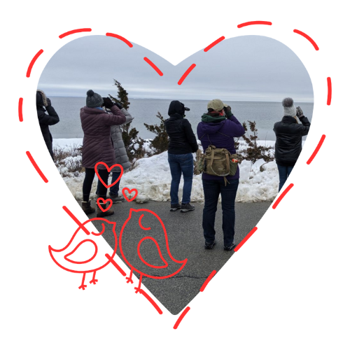 People standing with binoculars with birds and hearts graphic overlay