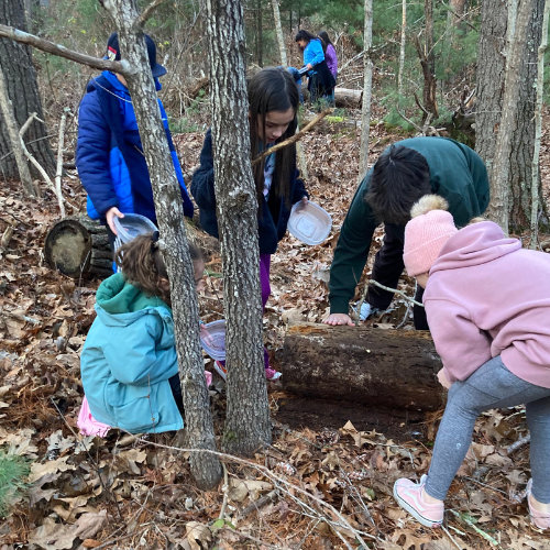 Kids conducting a scavenger hunt in the woods