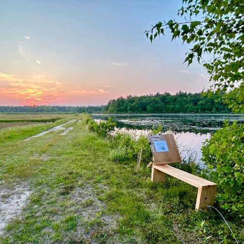 Art bench at sunset by a trail.